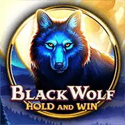 Biểu tượng Scatter kích hoạt Free Spins