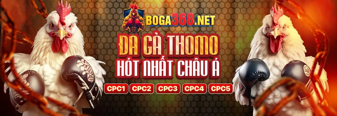 Hình ảnh sang trọng của chương trình VIP soxo66 đăng nhập
